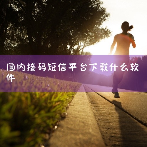 在线免费接码网站（如Receive - SMS - Online、FreePhoneNum等）此类网站网页端直接使用，无需下载软件，提供公开虚拟号码（部分支持多国），适合临时注册或测试场景，能支持接收,