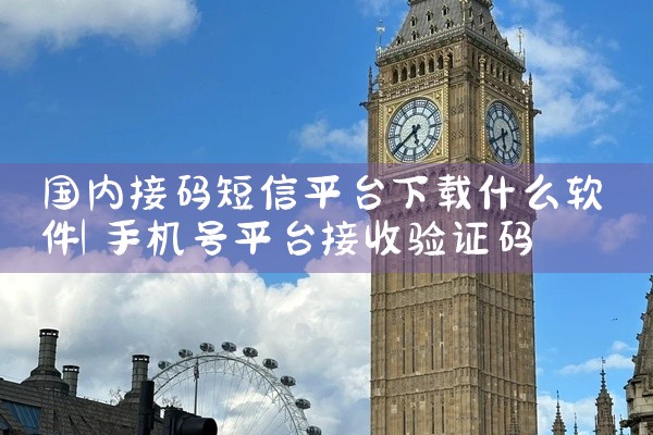 国内接码短信平台下载什么软件