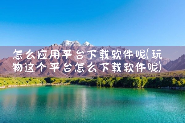 怎么应用平台下载软件呢